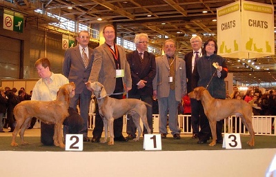 des Ombres des Quatre Nuits - Salon de l'agriculture : UPPER sur son nuage...