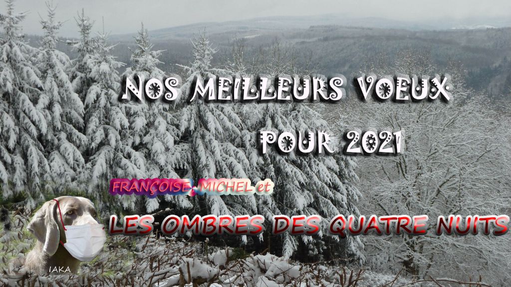 BONNE ANNÉE !!!!